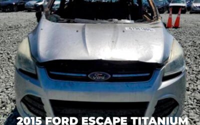 “Transform Your Event: Alquilar Sillas para Comodidad y Estilo”