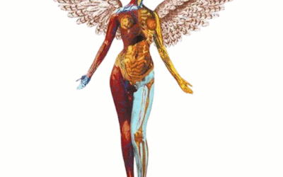 “Comprar vs. Alquilar Mesas: ¿Cuál es la Mejor Opción?”